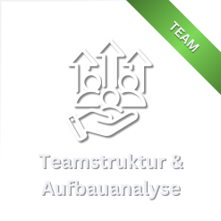 Teamstruktur & Aufbauanalyse